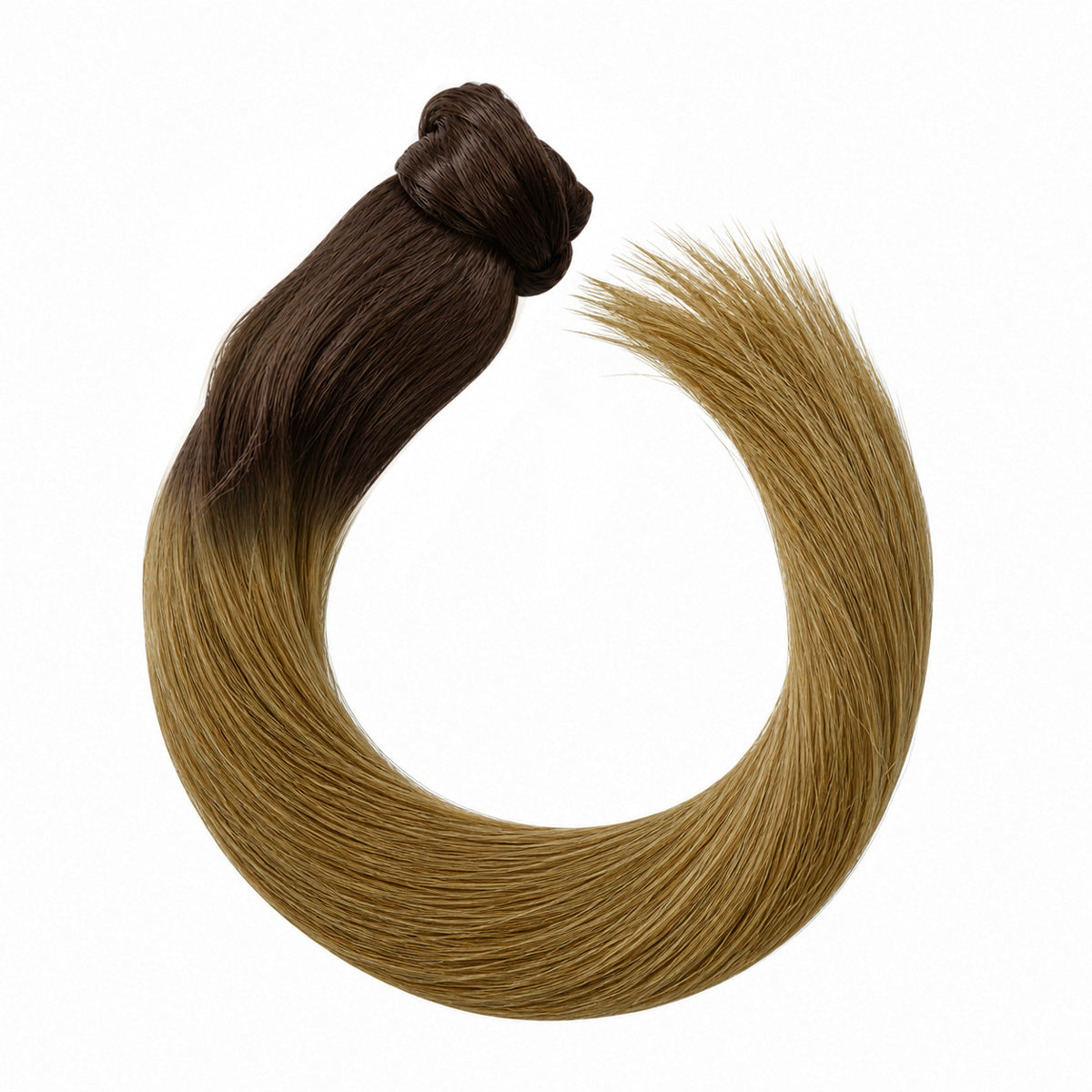 Ponytail – ombré #02/10