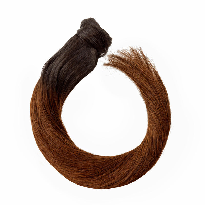 Ponytail – ombré #1B/06
