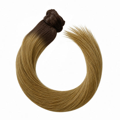 Ponytail – root #02/10