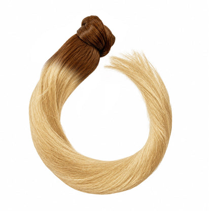 Ponytail – root #06/20