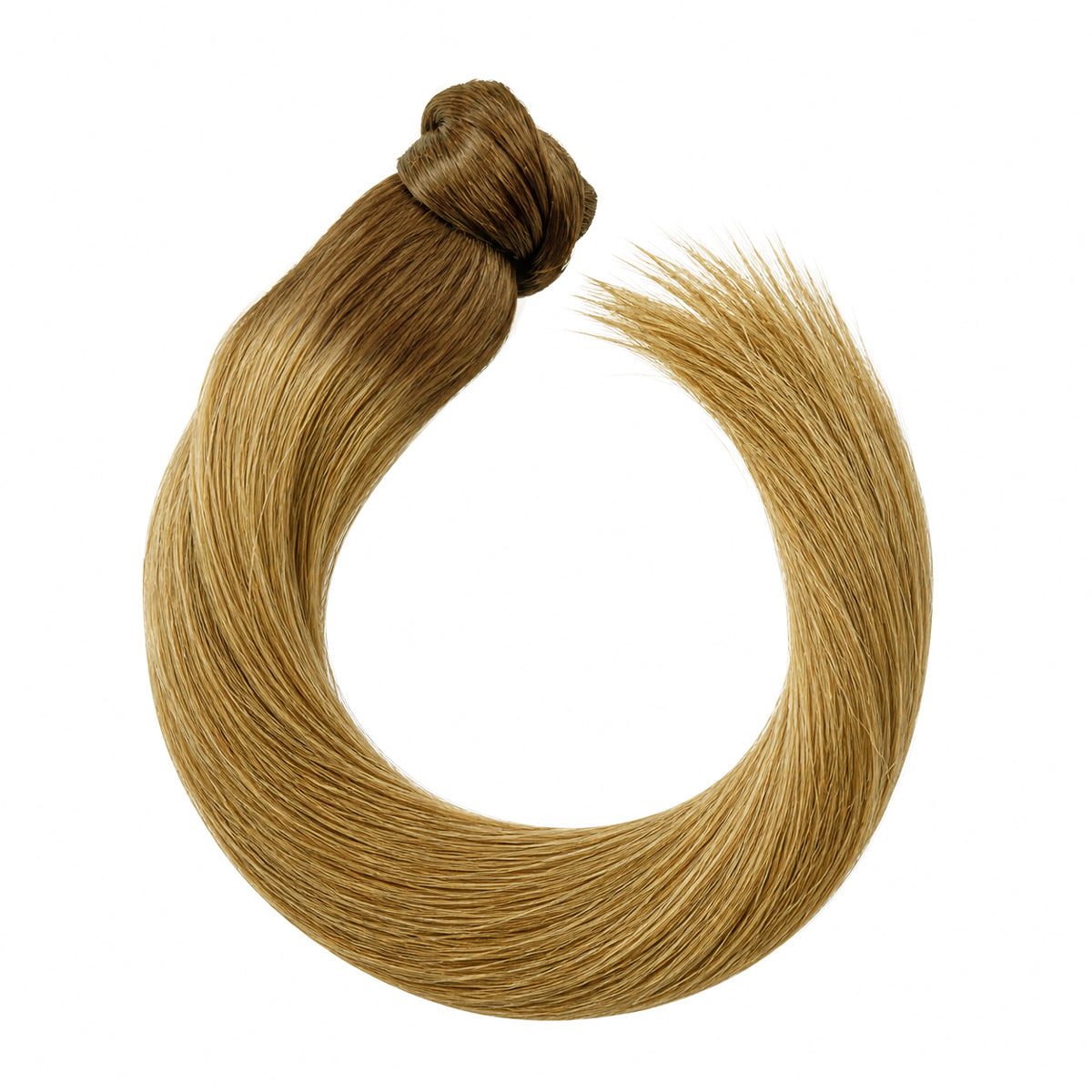Ponytail – root #07/15