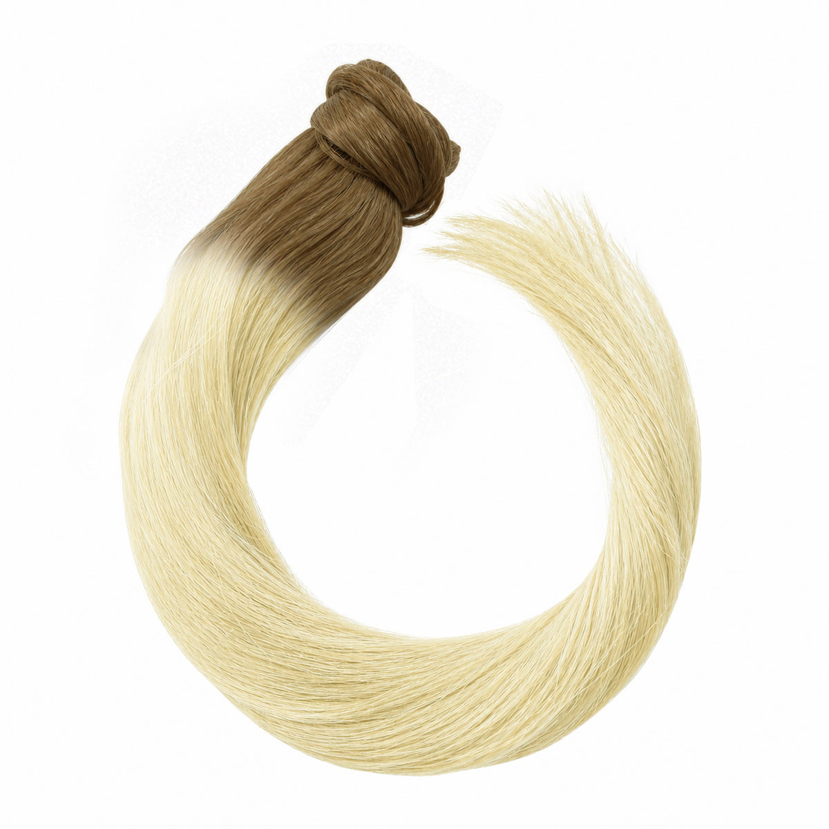 Ponytail – root #8B/615