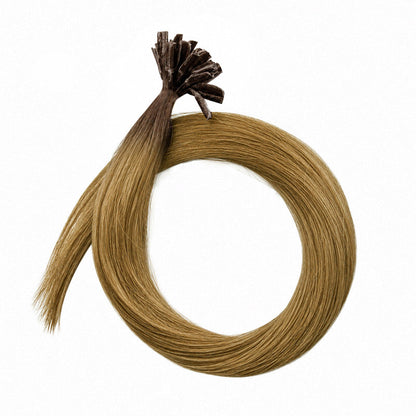 Bonding-Extensions – root #02/10