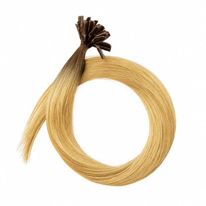 Bonding-Extensions – root #04/16